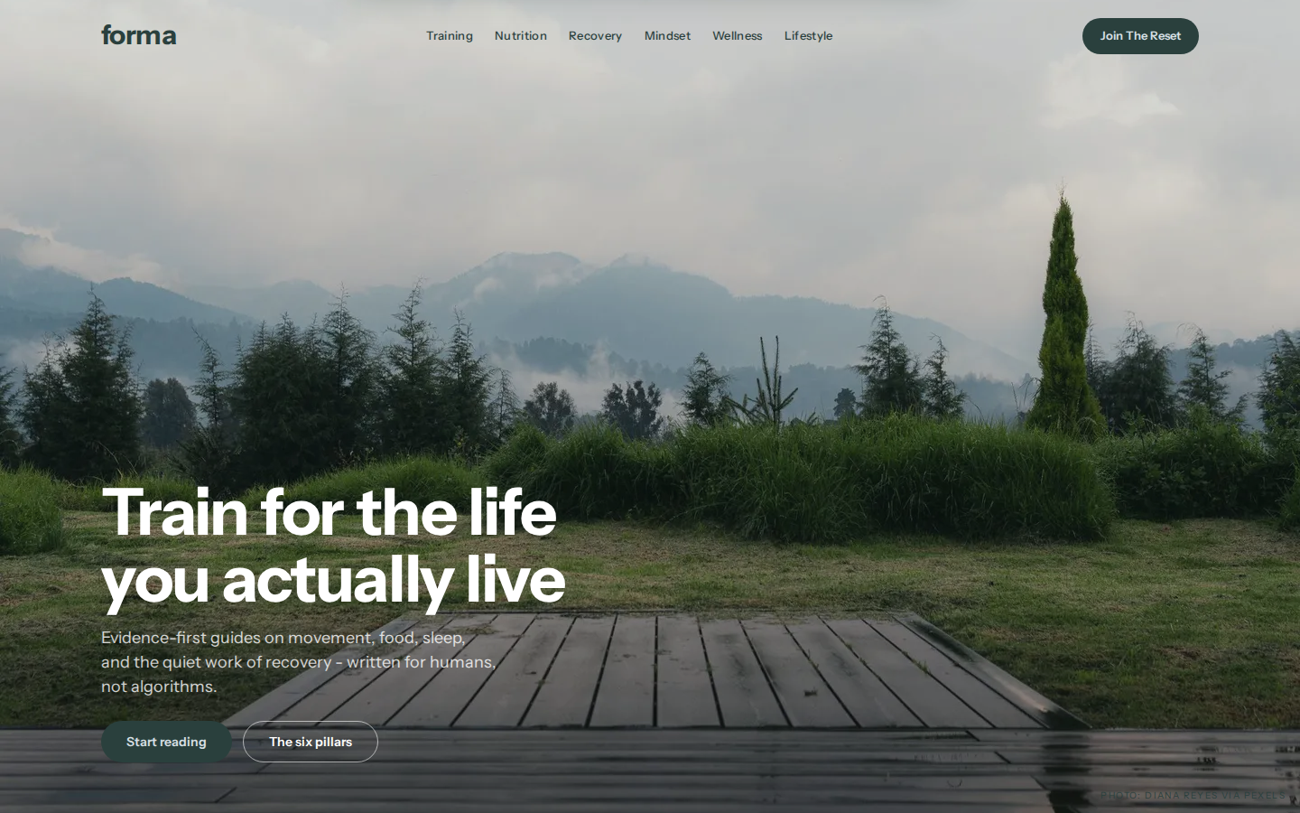 Forma template preview