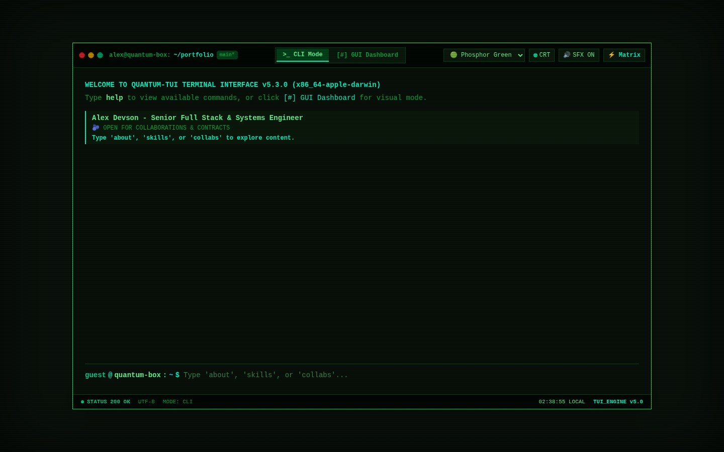 Retro TUI Portfolio template preview