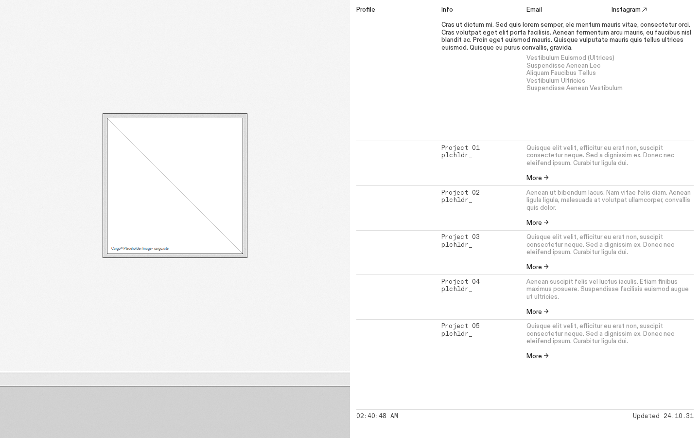 Wireframe F583 template preview