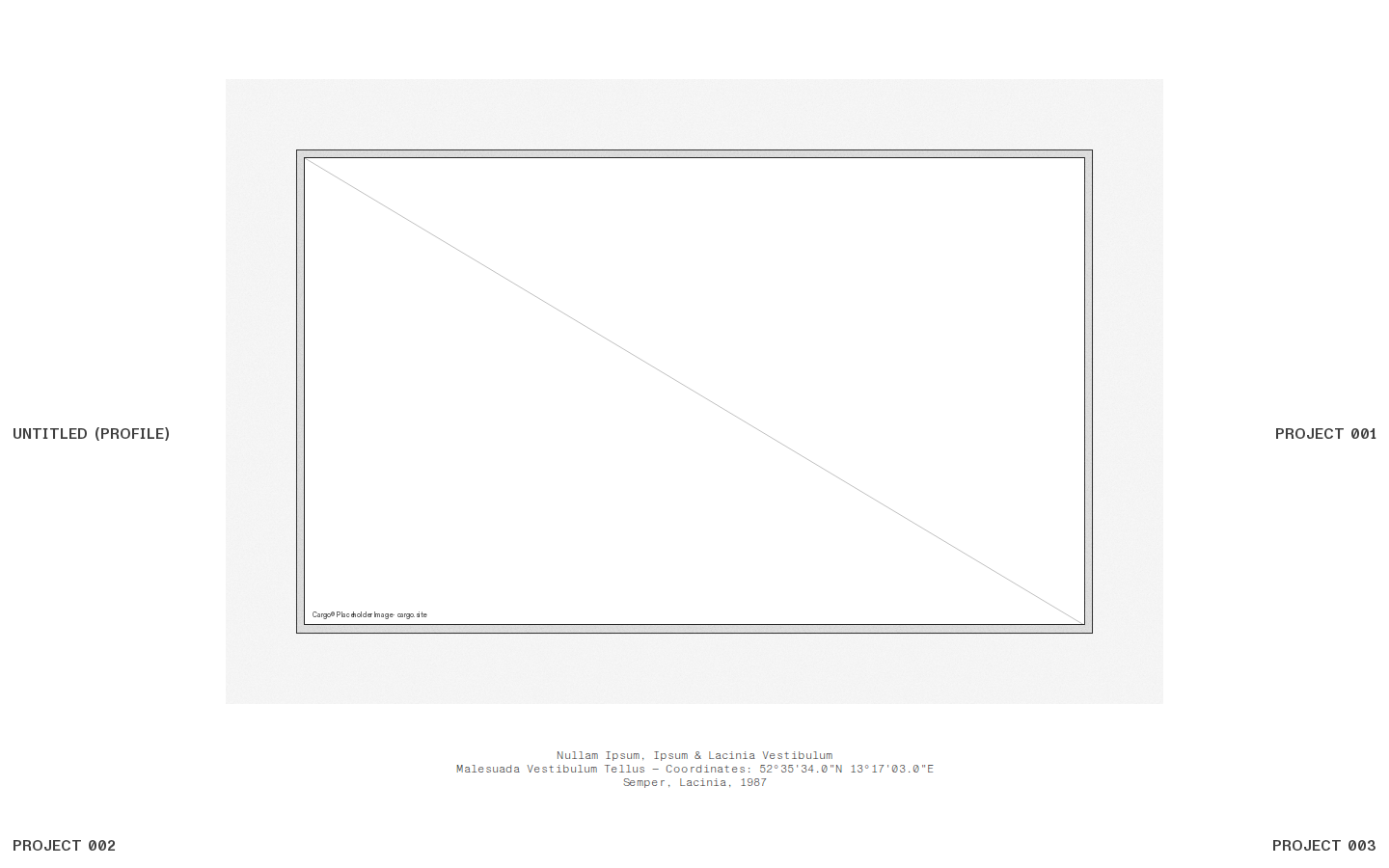 Wireframe R547 template preview