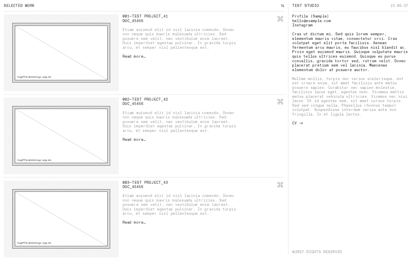 Wireframe Z207 template preview