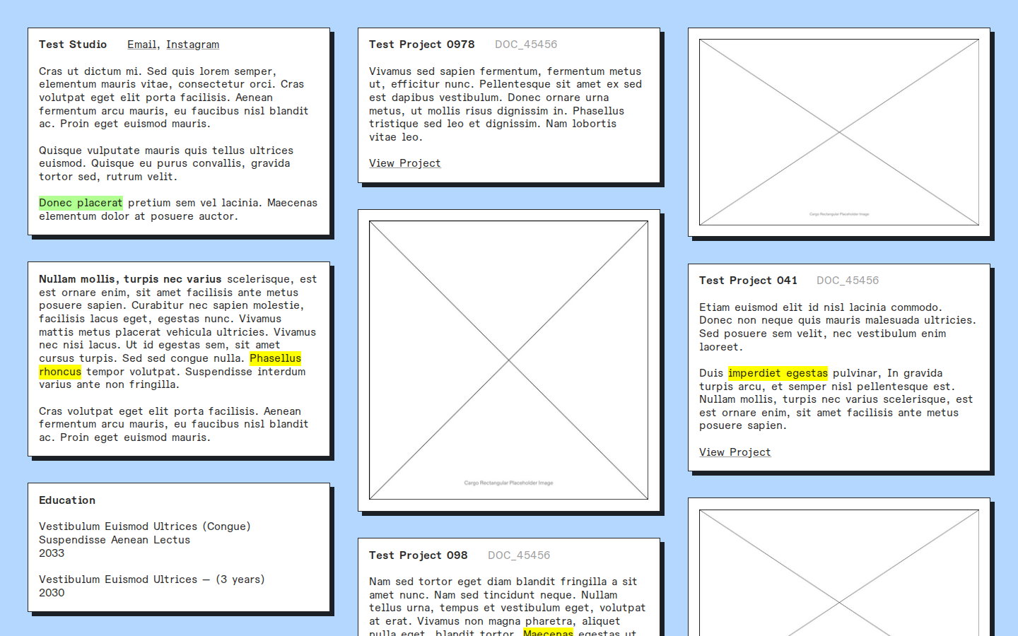 Graphic Z427 template preview