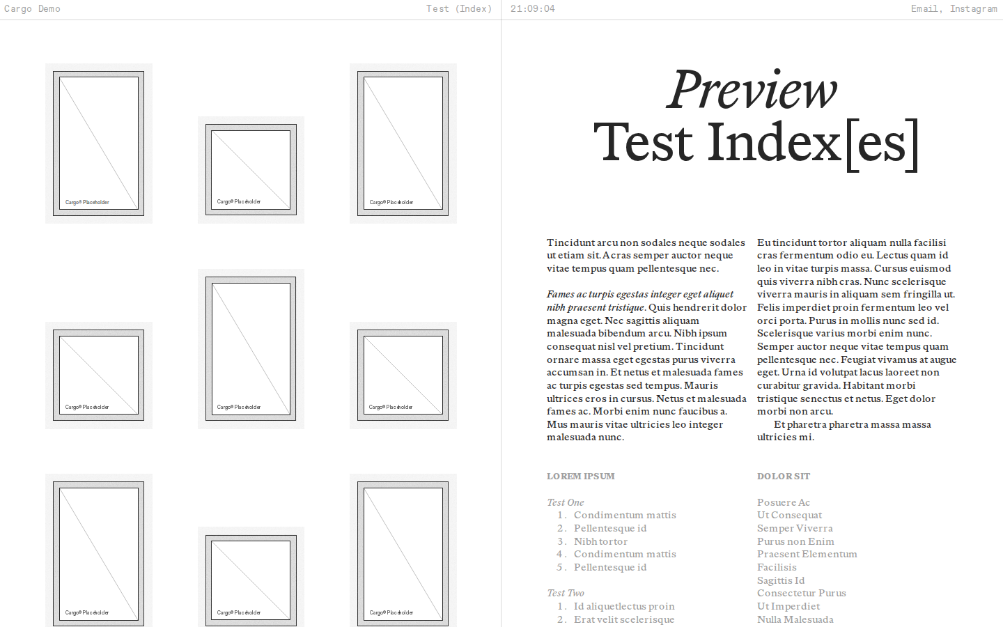 Wireframe L823 template preview