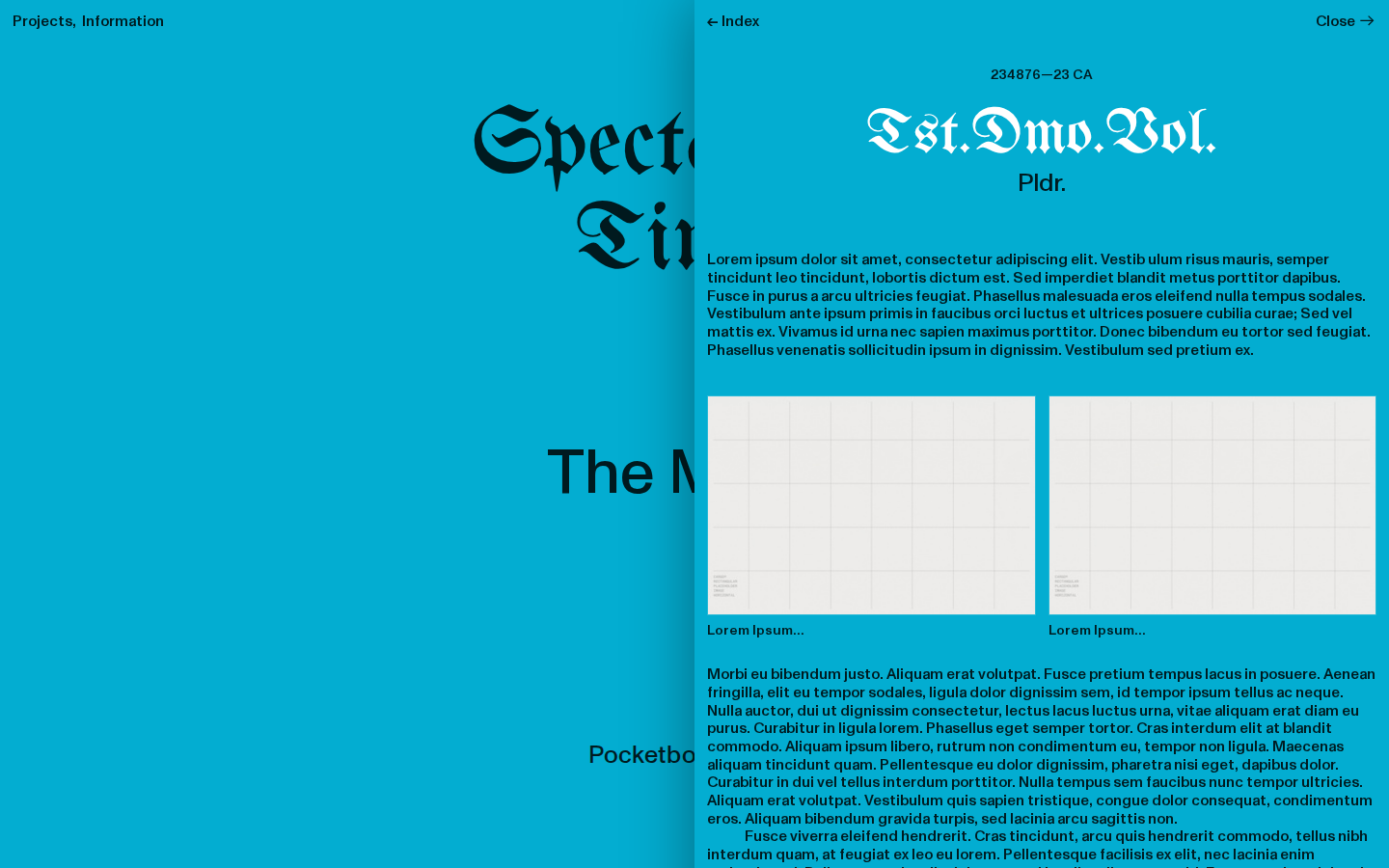 Template Browser template preview