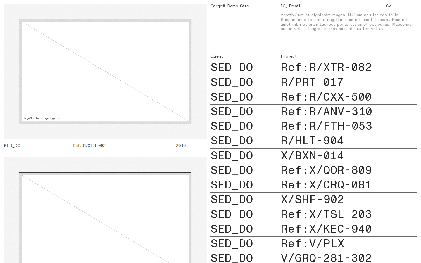 Wireframe P404 template preview