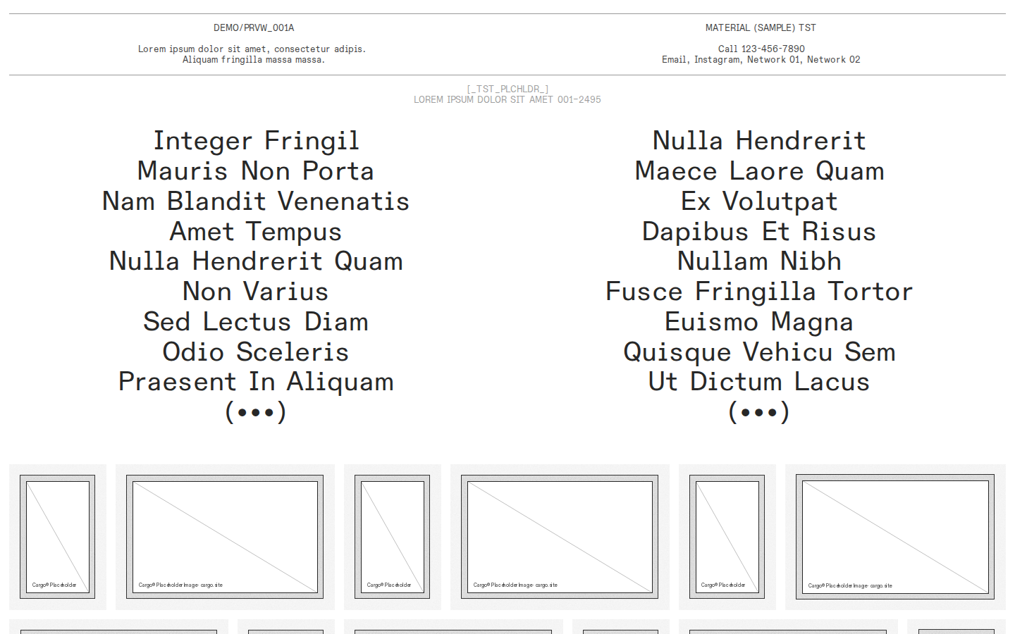 Wireframe P934 template preview
