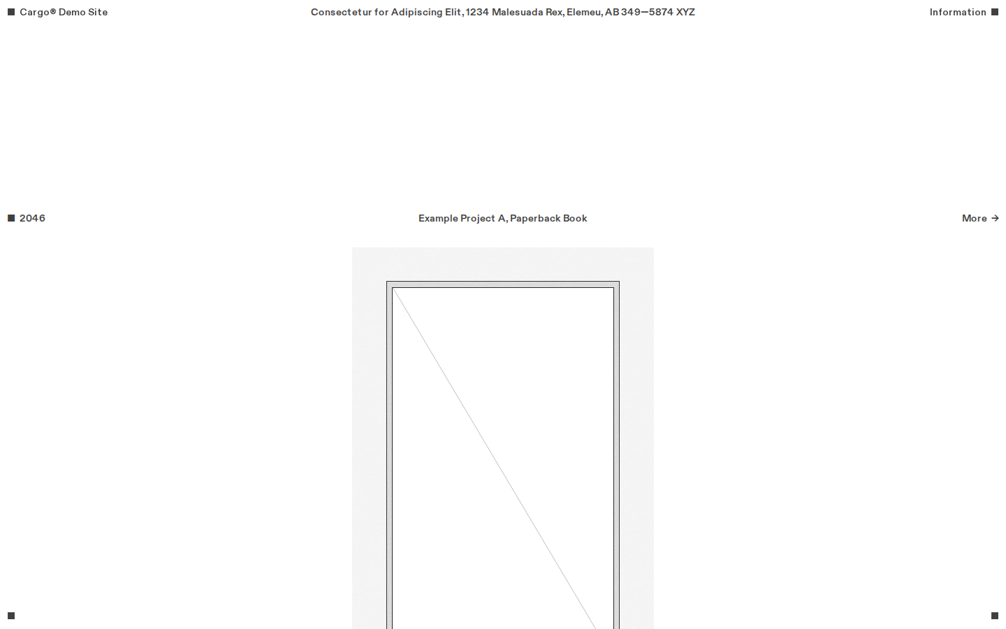 Wireframe B217 template preview