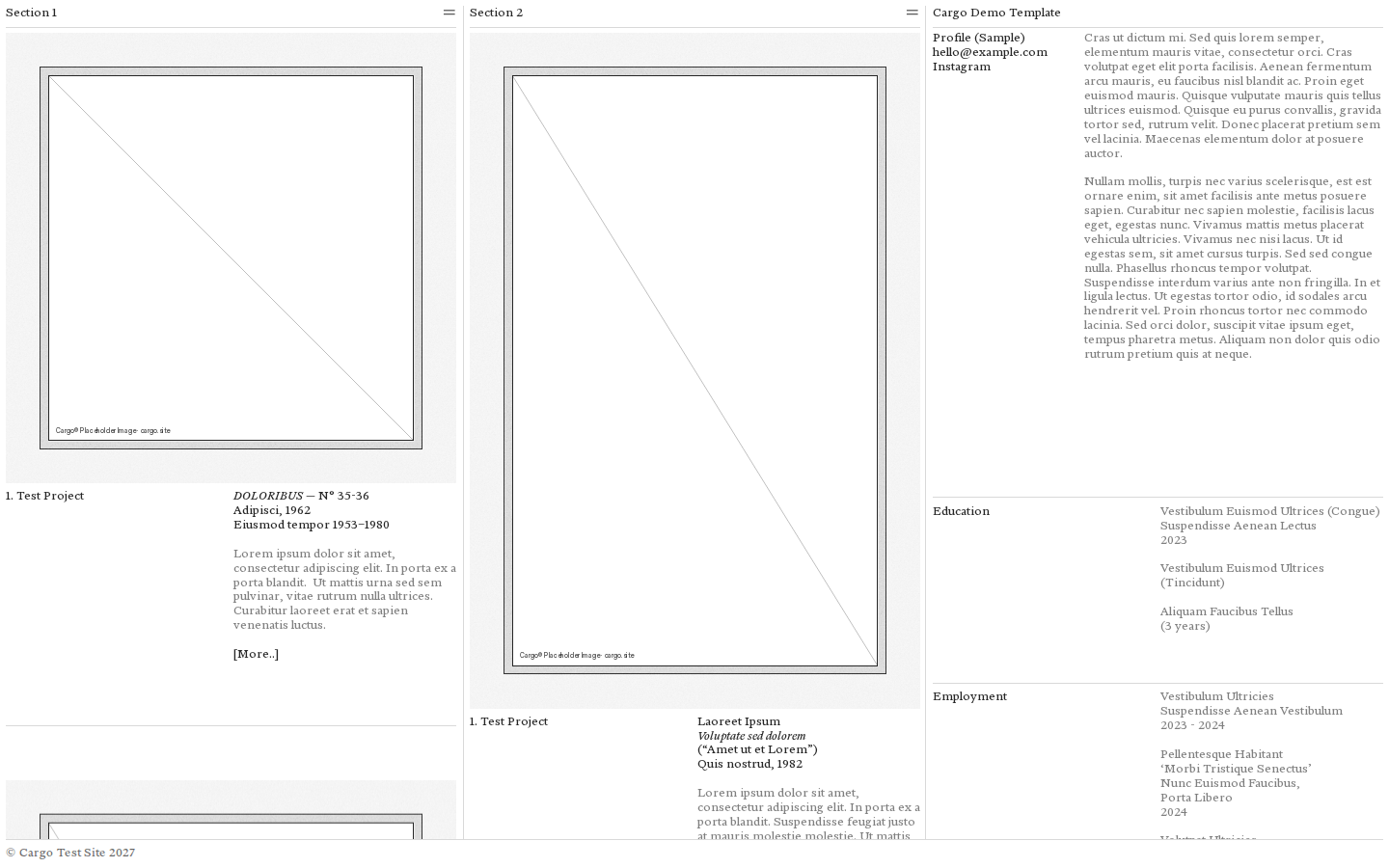 Wireframe M069 template preview