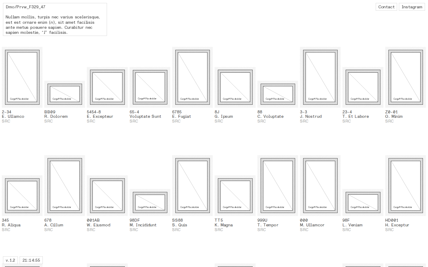 Wireframe P953 template preview