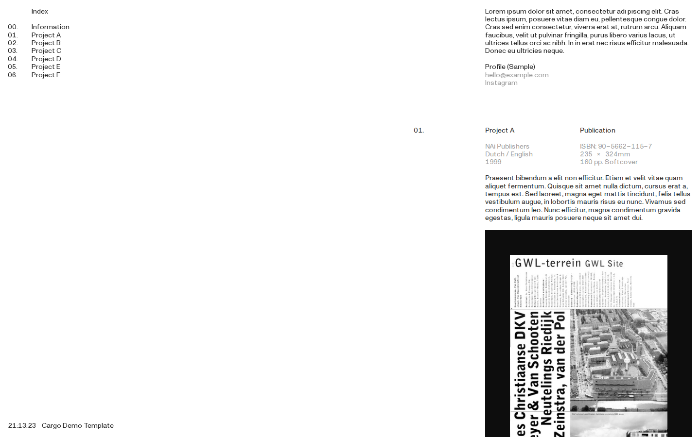 Template L384 template preview