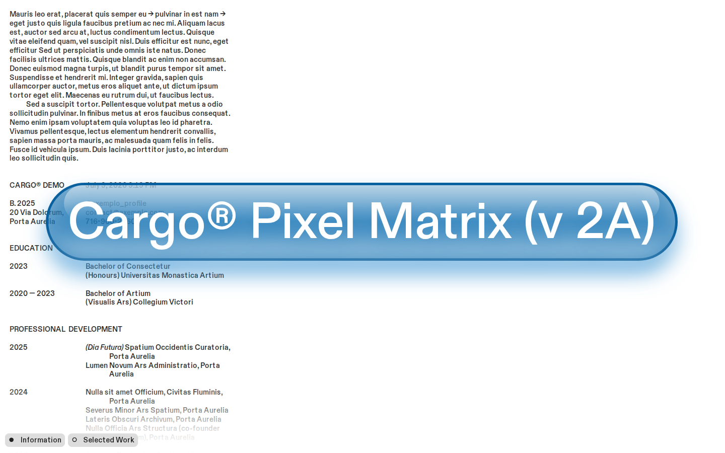Graphic H464 template preview