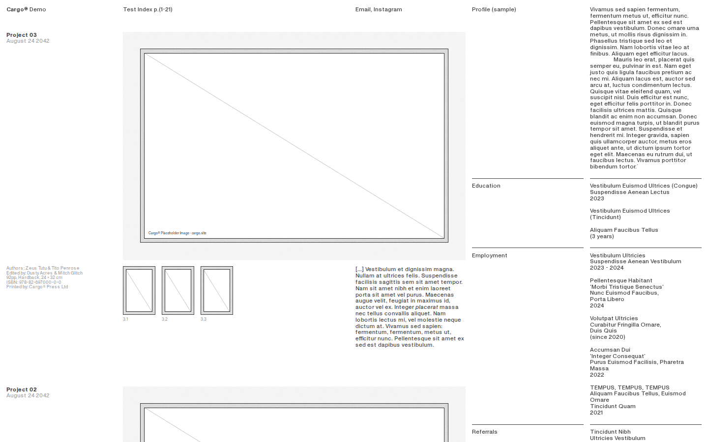 Wireframe L820 template preview