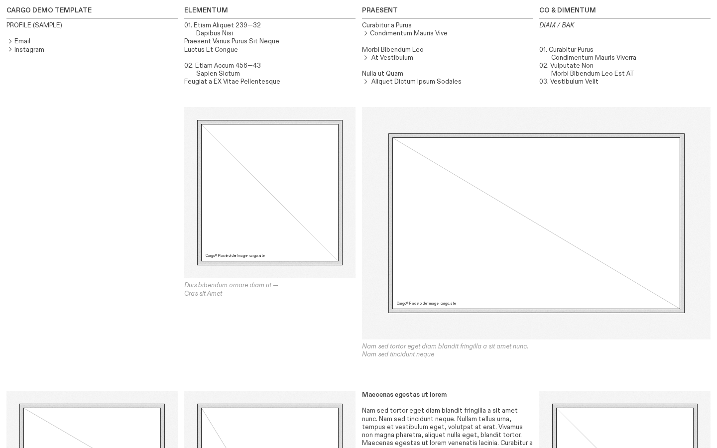 Wireframe N480 template preview