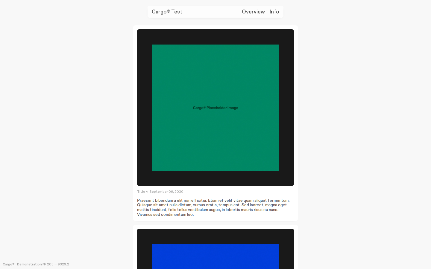 Graphic B522 template preview