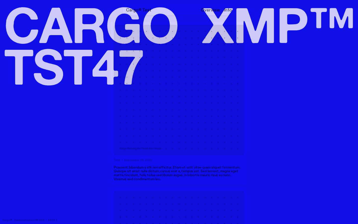 Graphic T024 template preview