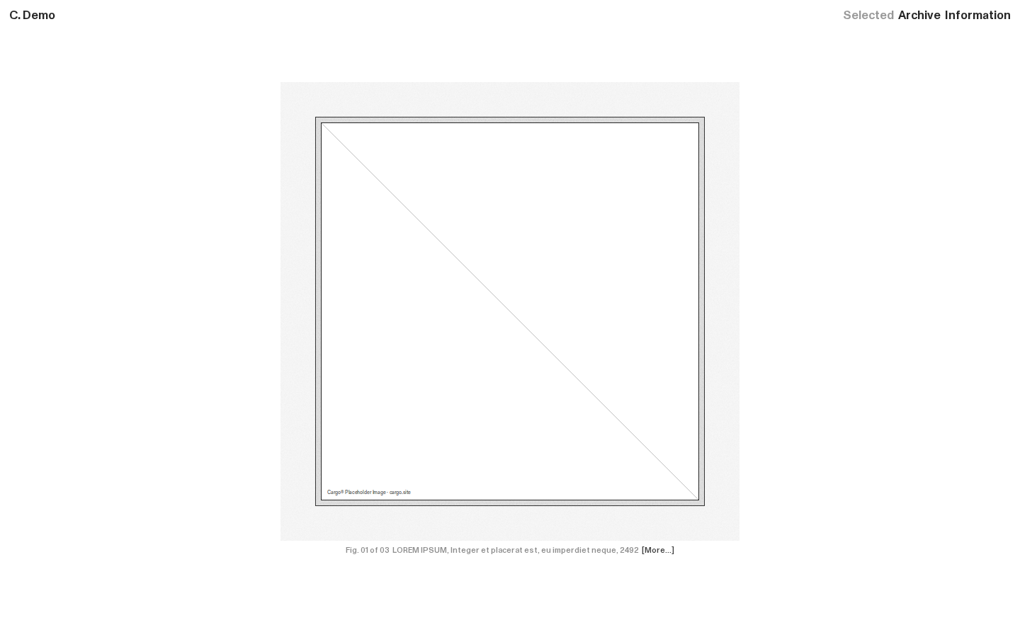 Wireframe D042 template preview