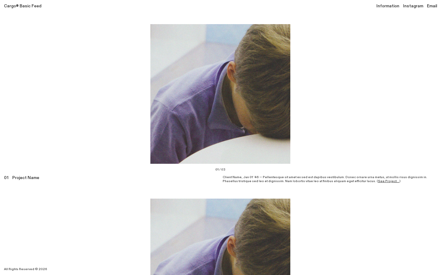 Everything template preview