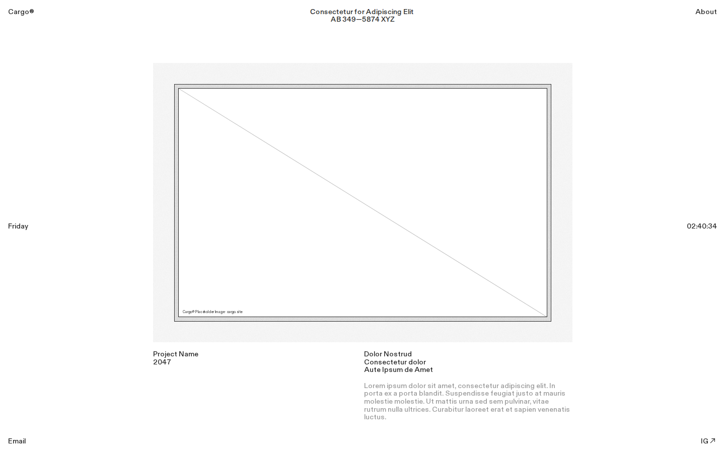 Wireframe N690 template preview