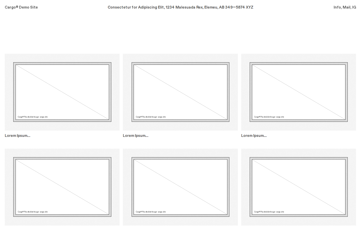 Wireframe P503 template preview