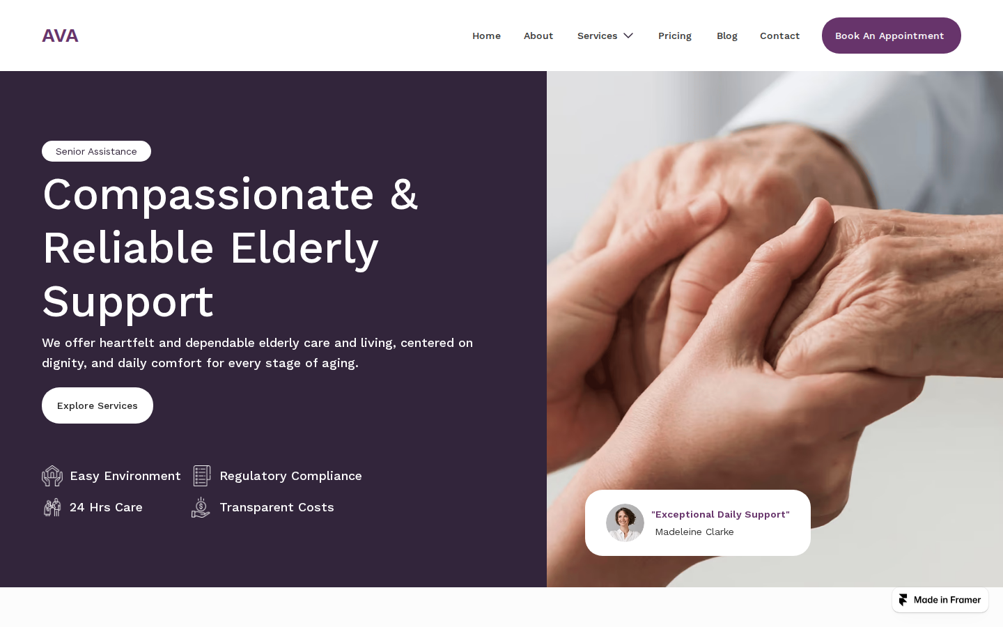 Ava Senior Care template preview