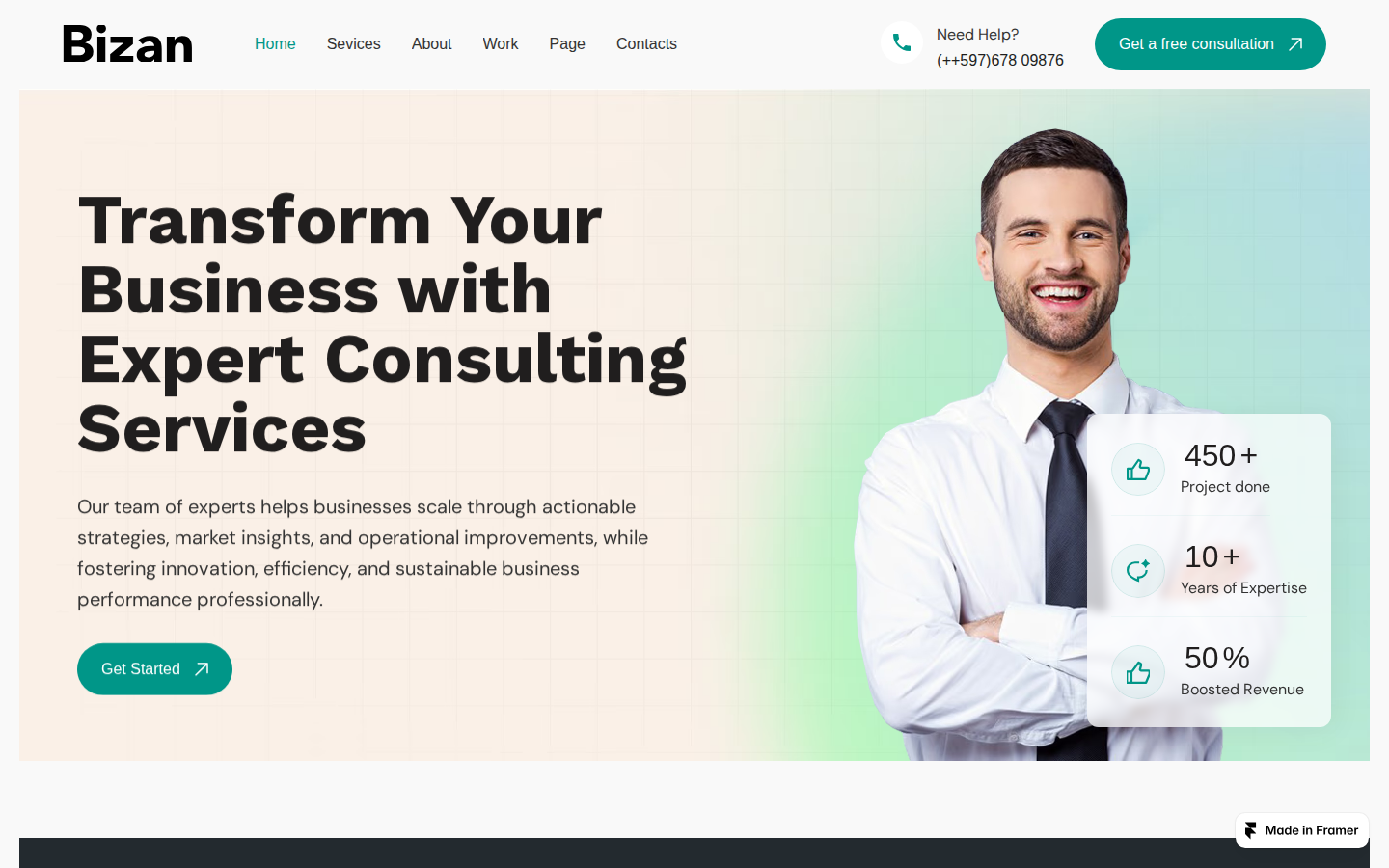 Bizan template preview