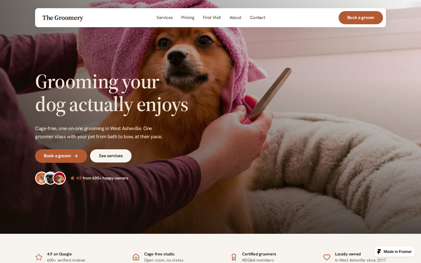 Chiropractor template preview