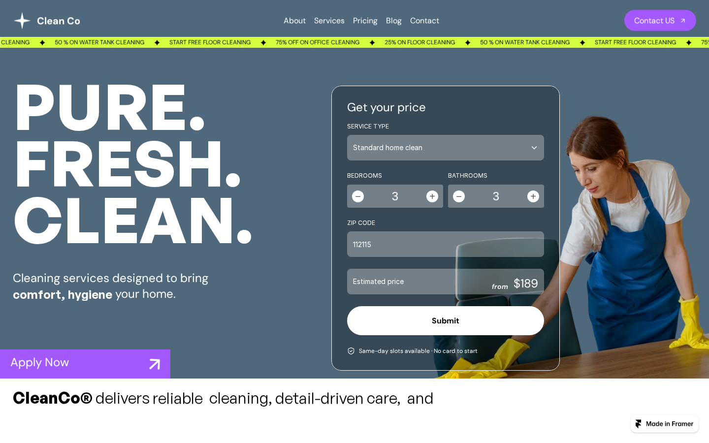 Clean Co template preview