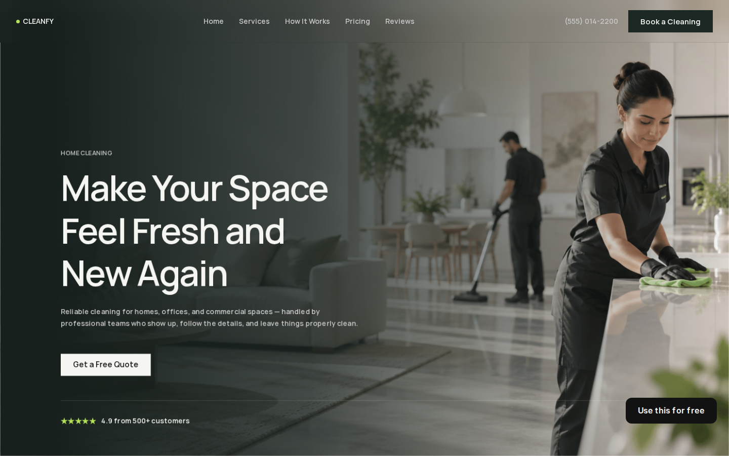 Cleanfy template preview