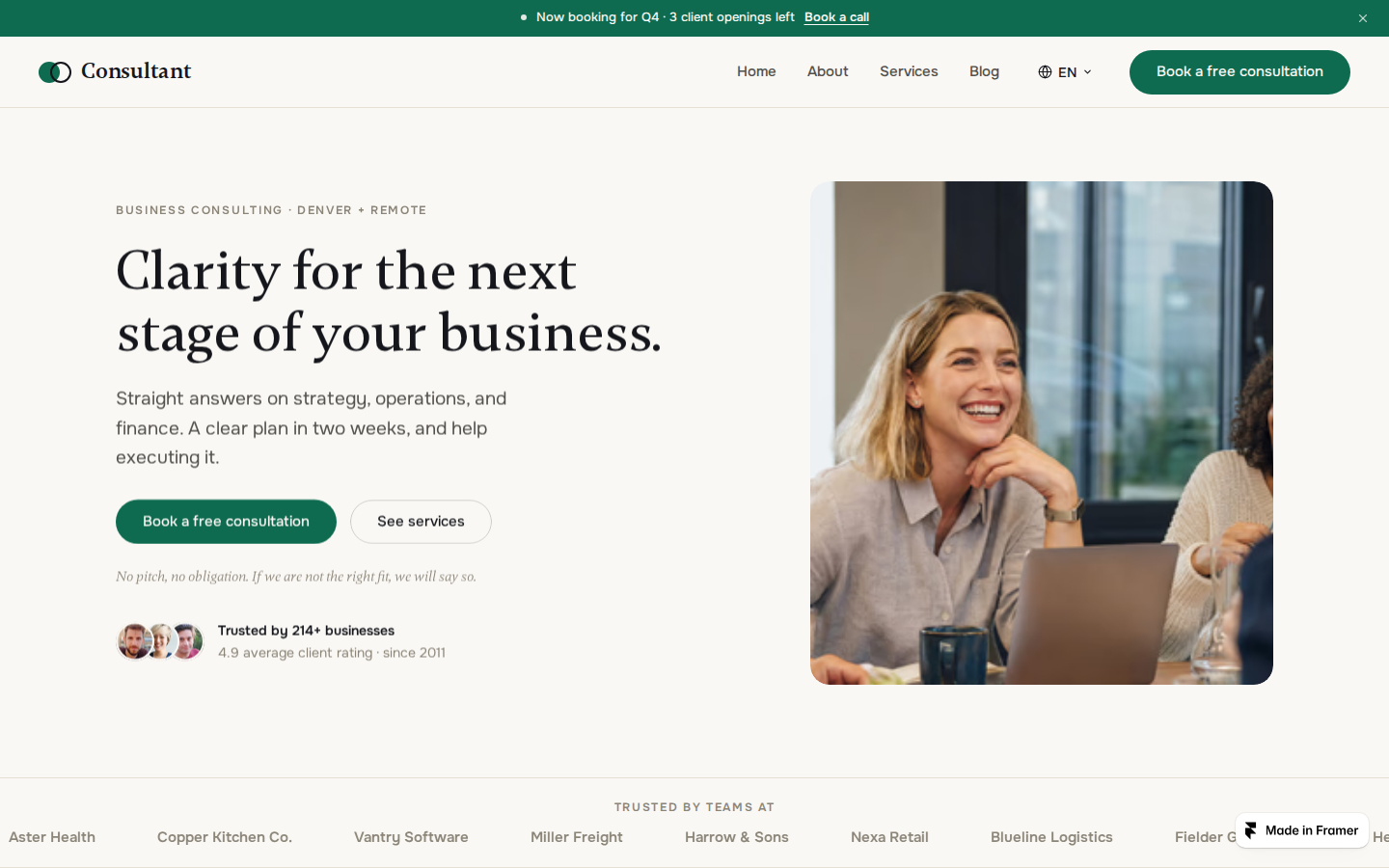 Consultants template preview