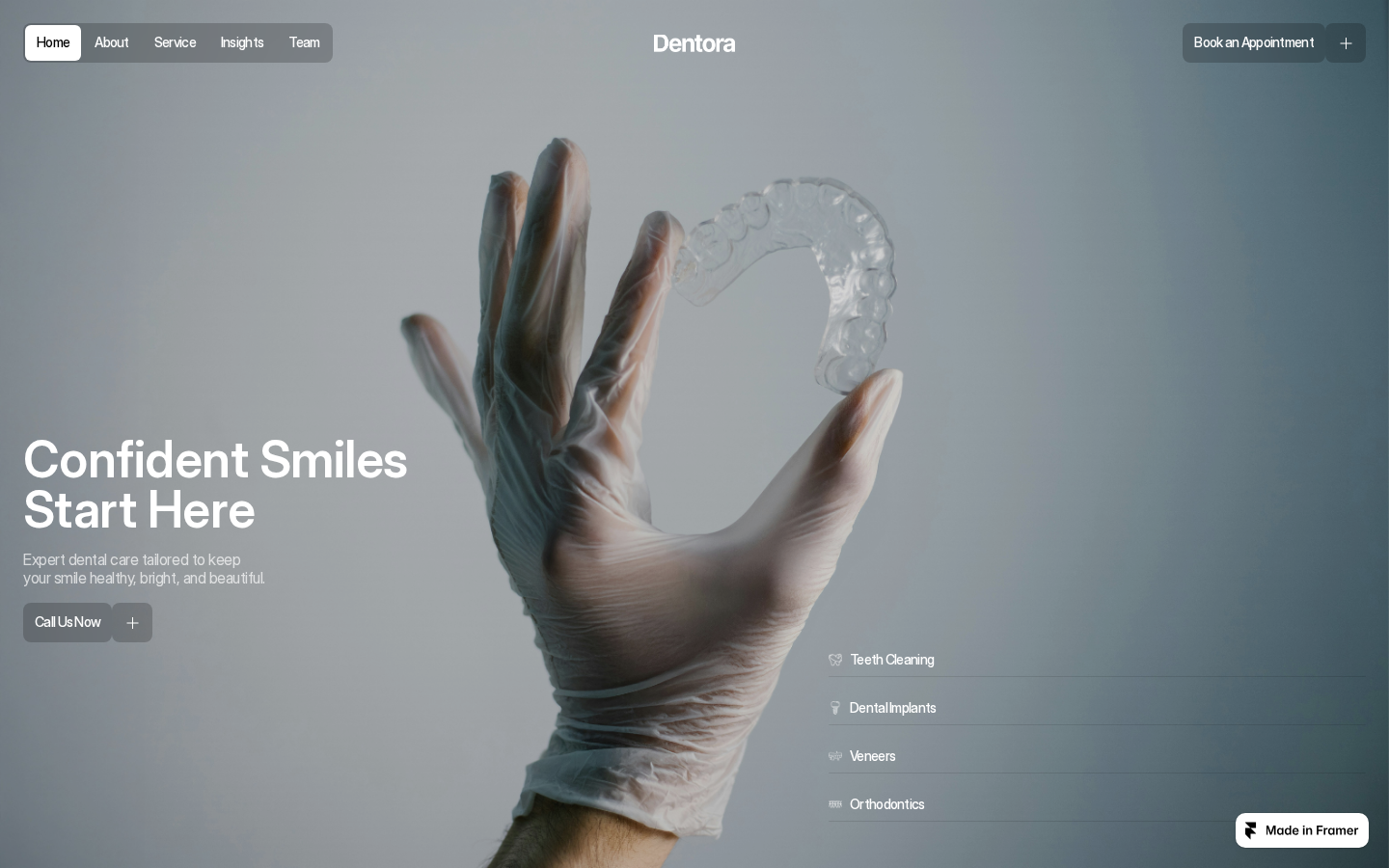 DENTIQUE template preview