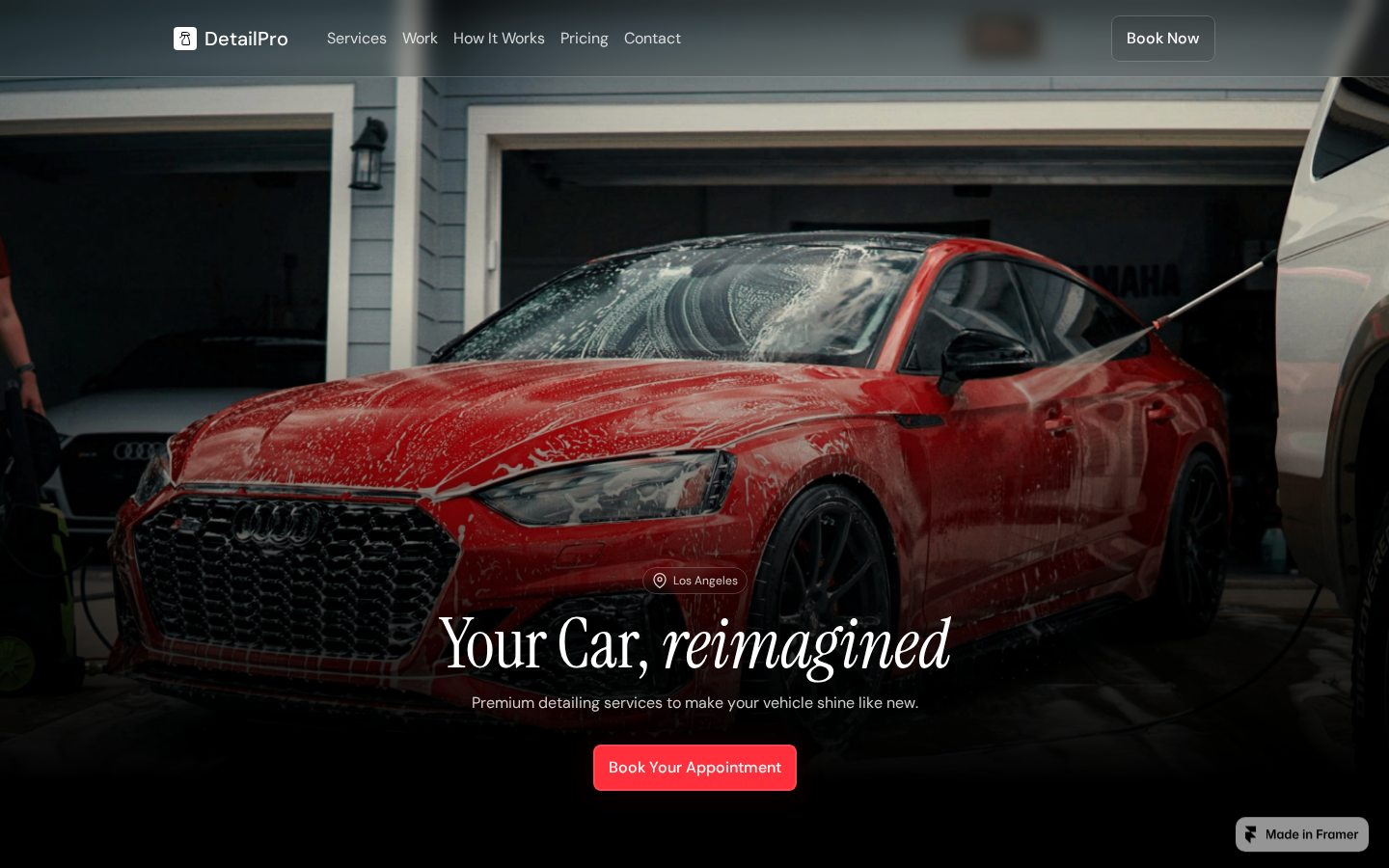 Detail Pro template preview