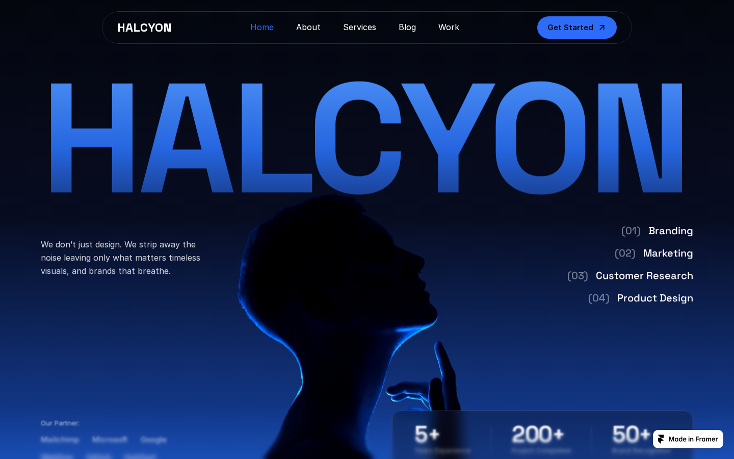 Halcyon X template preview