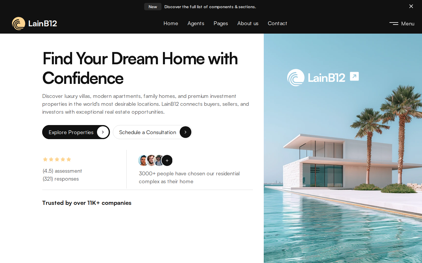 LainB12 template preview