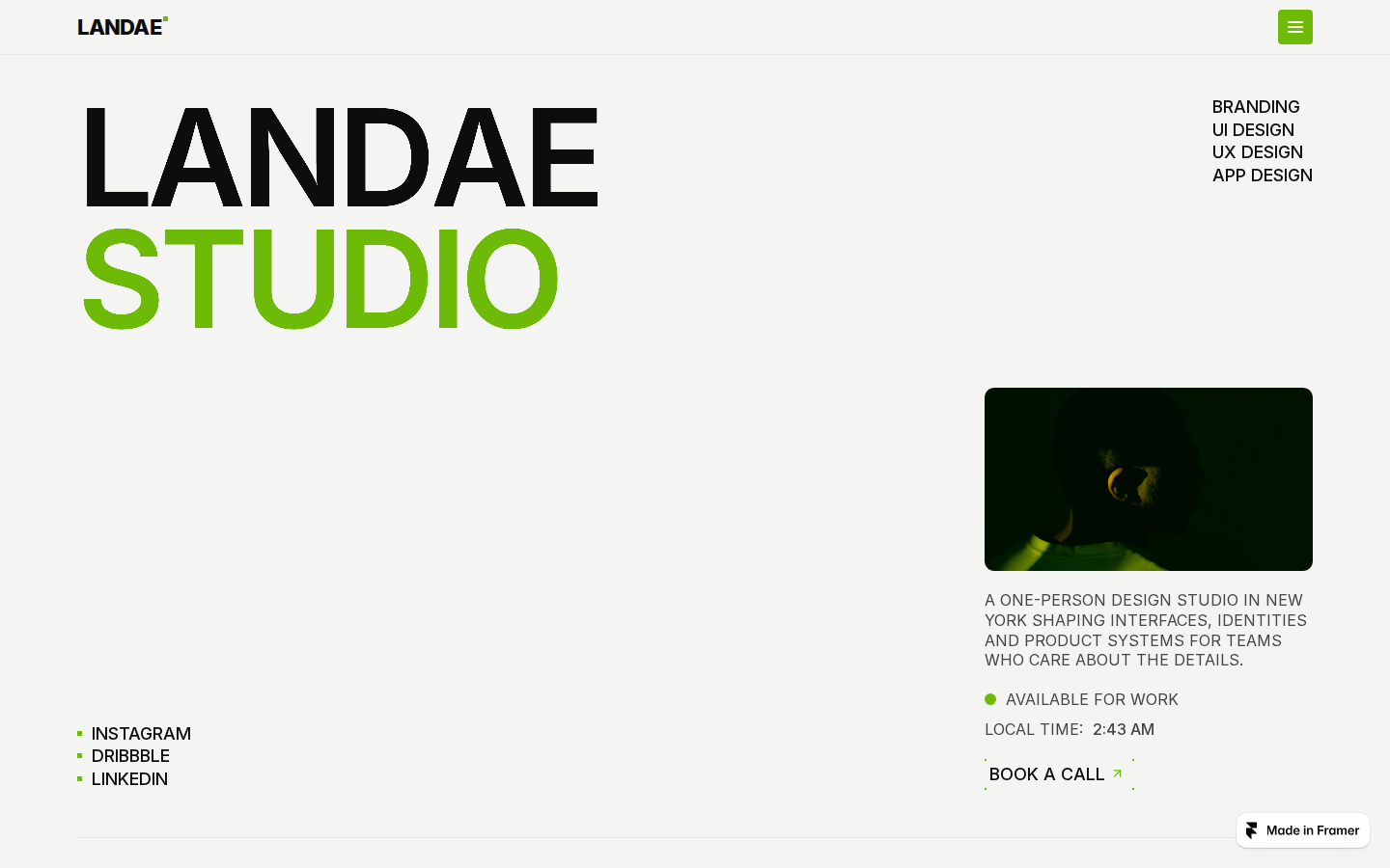 Landae template preview