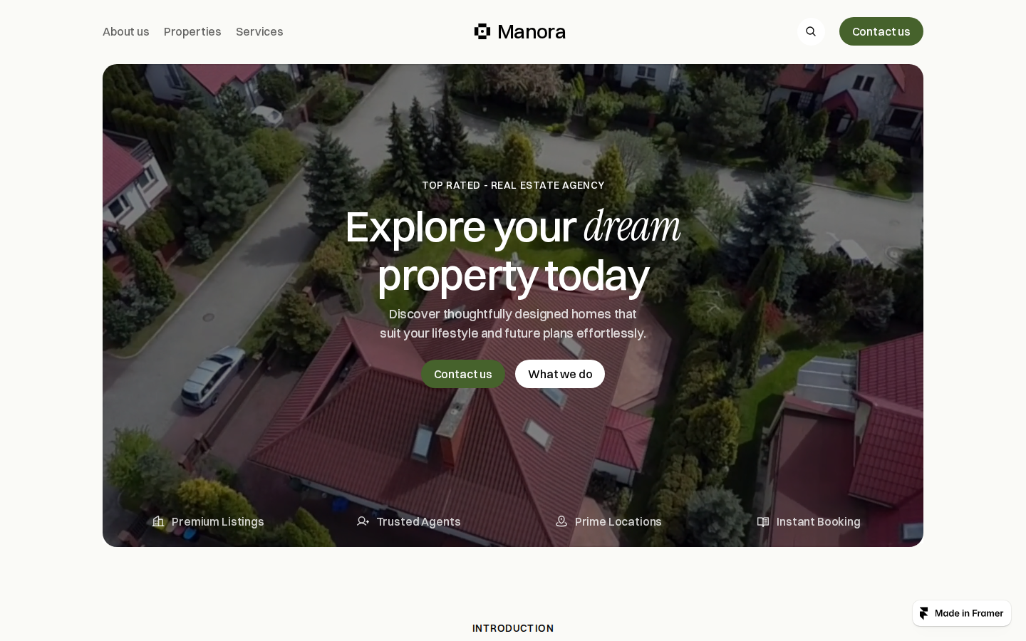 Manora template preview