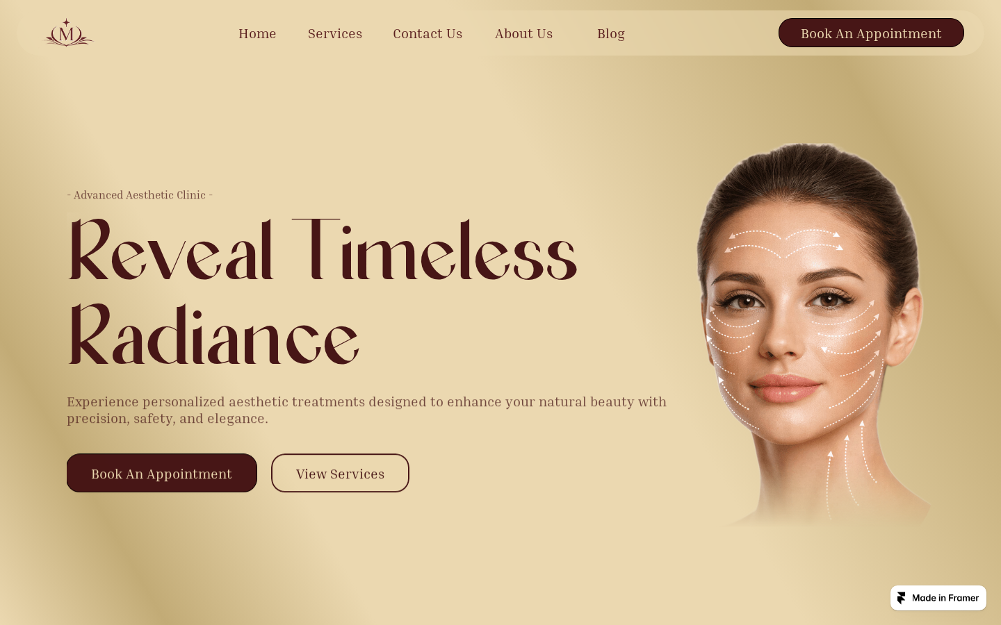 Medivelle-Clinic template preview