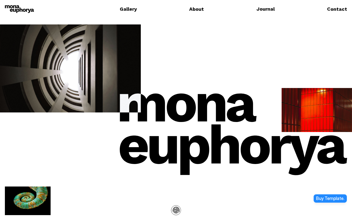 Mona Euphorya template preview