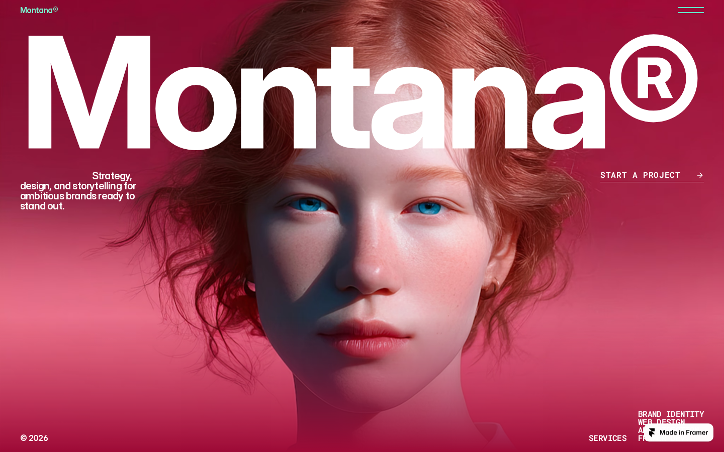 Montanaa template preview