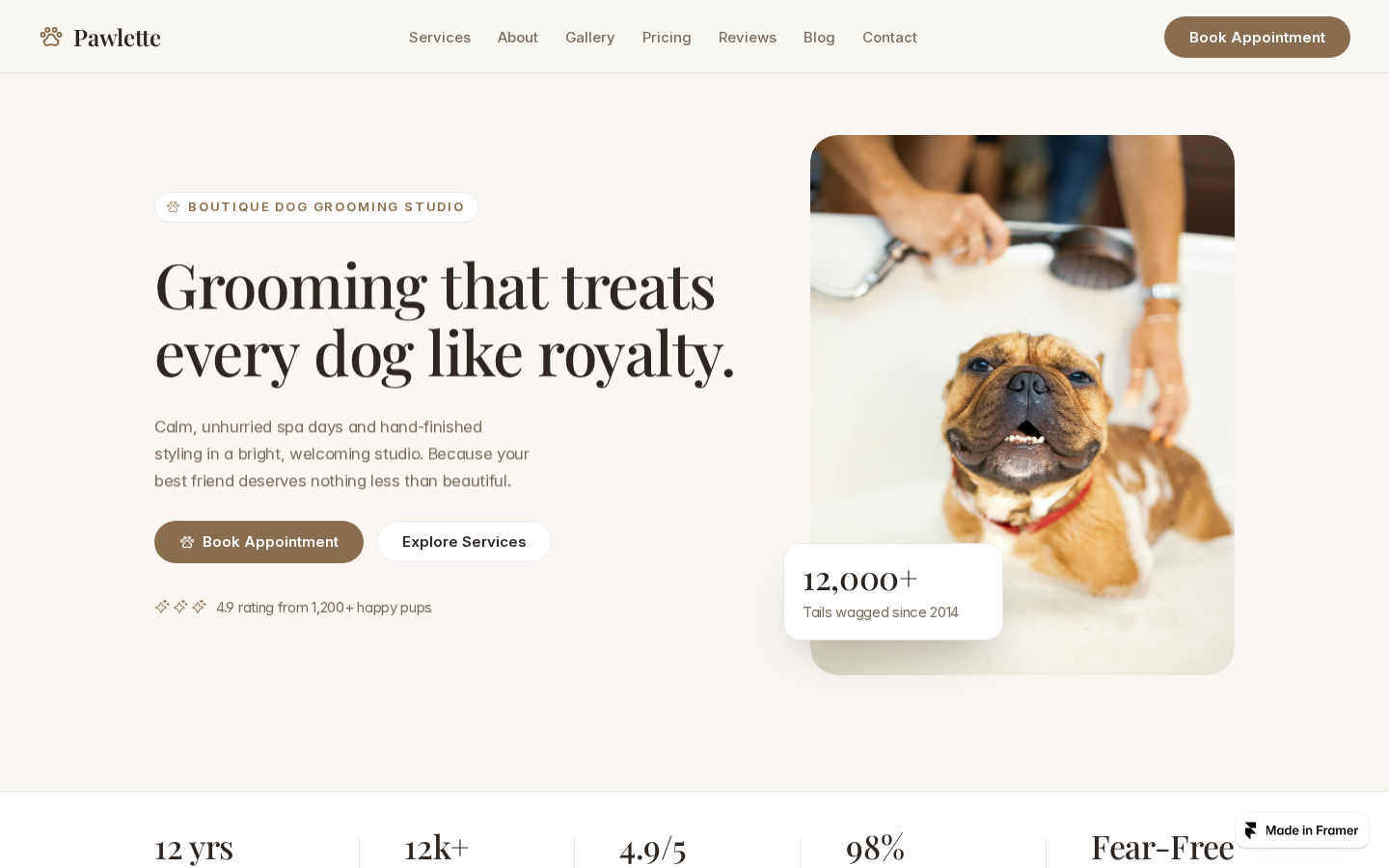 Pawlette template preview