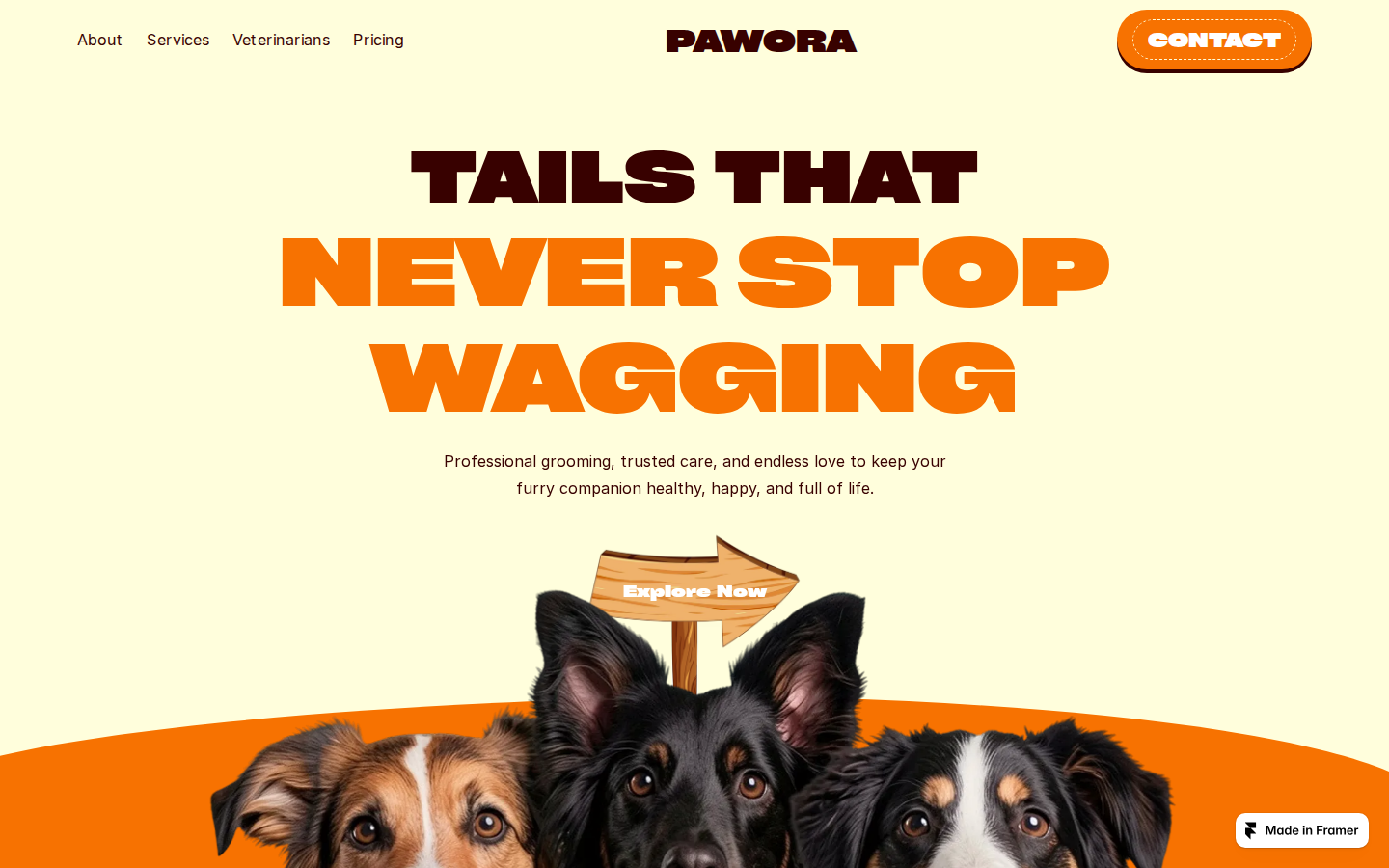 Pawora template preview