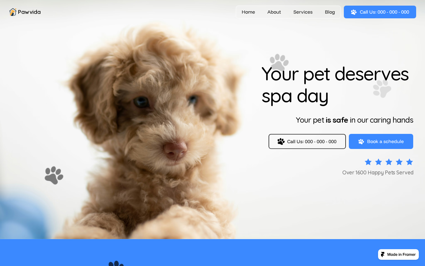 Pawvida - Pet Care template preview