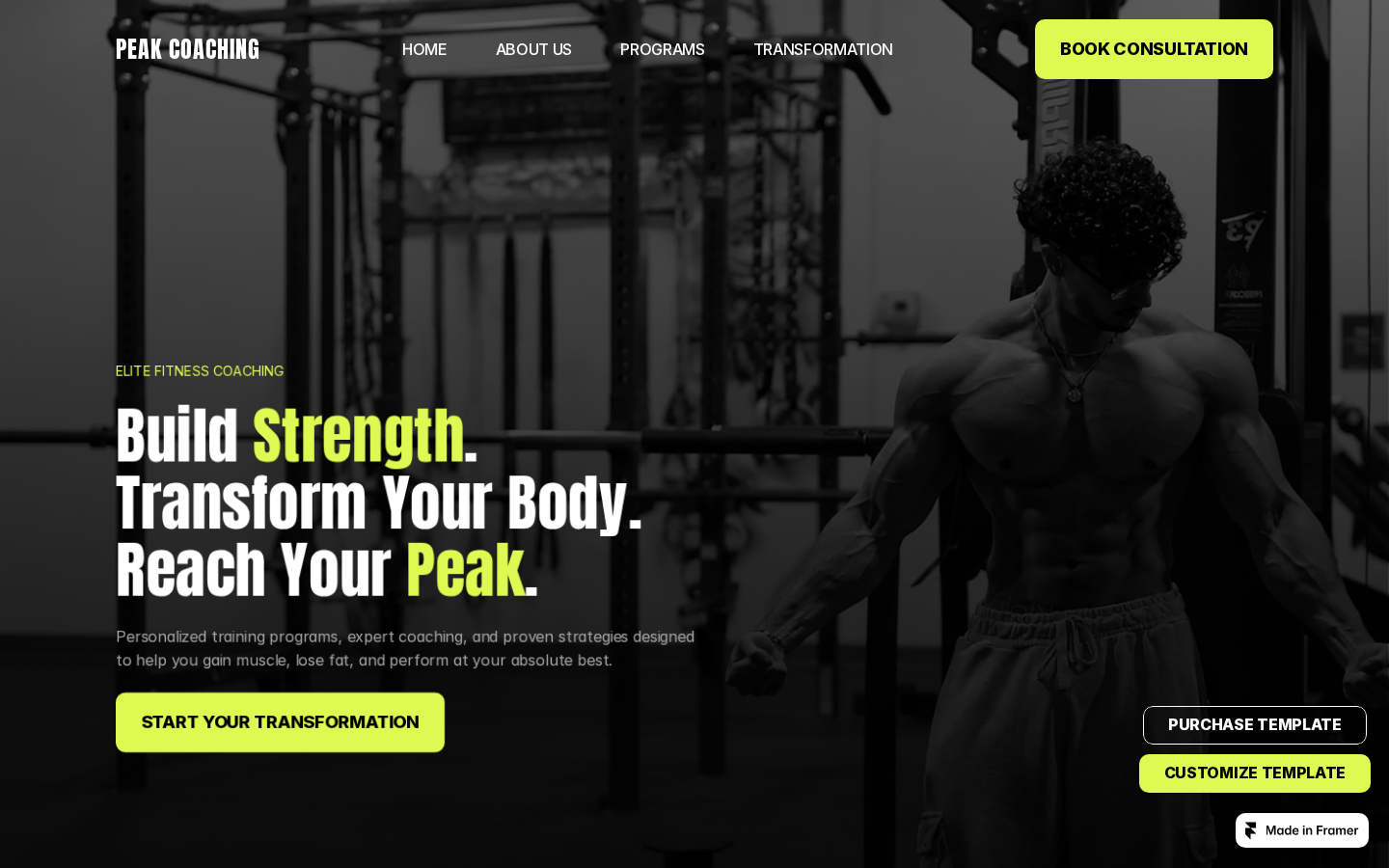 PeakCoaching template preview