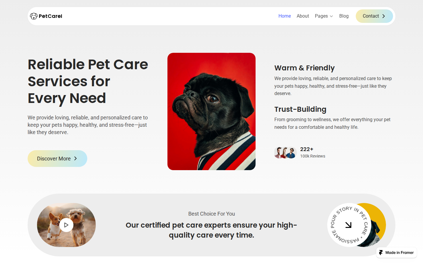 Petcarei template preview