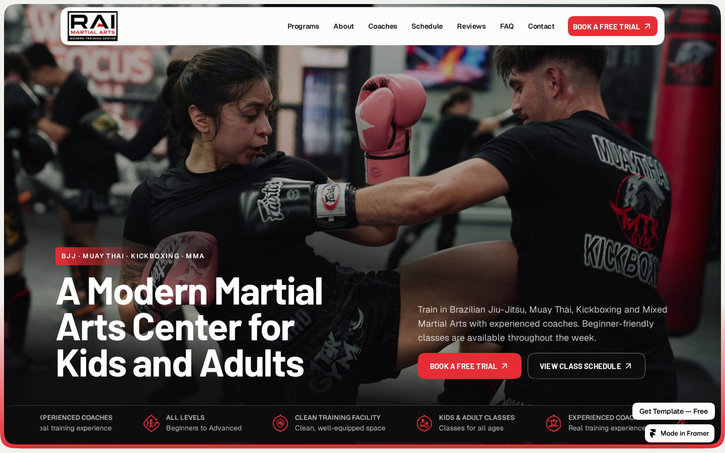 Rai Martial Arts template preview