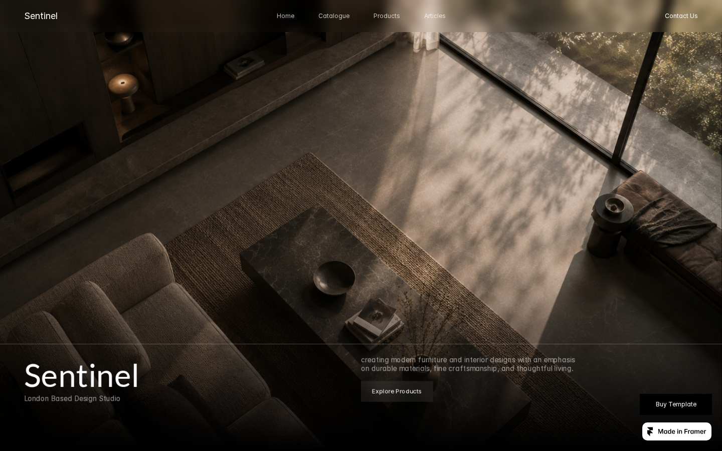 Sentinel & Co template preview