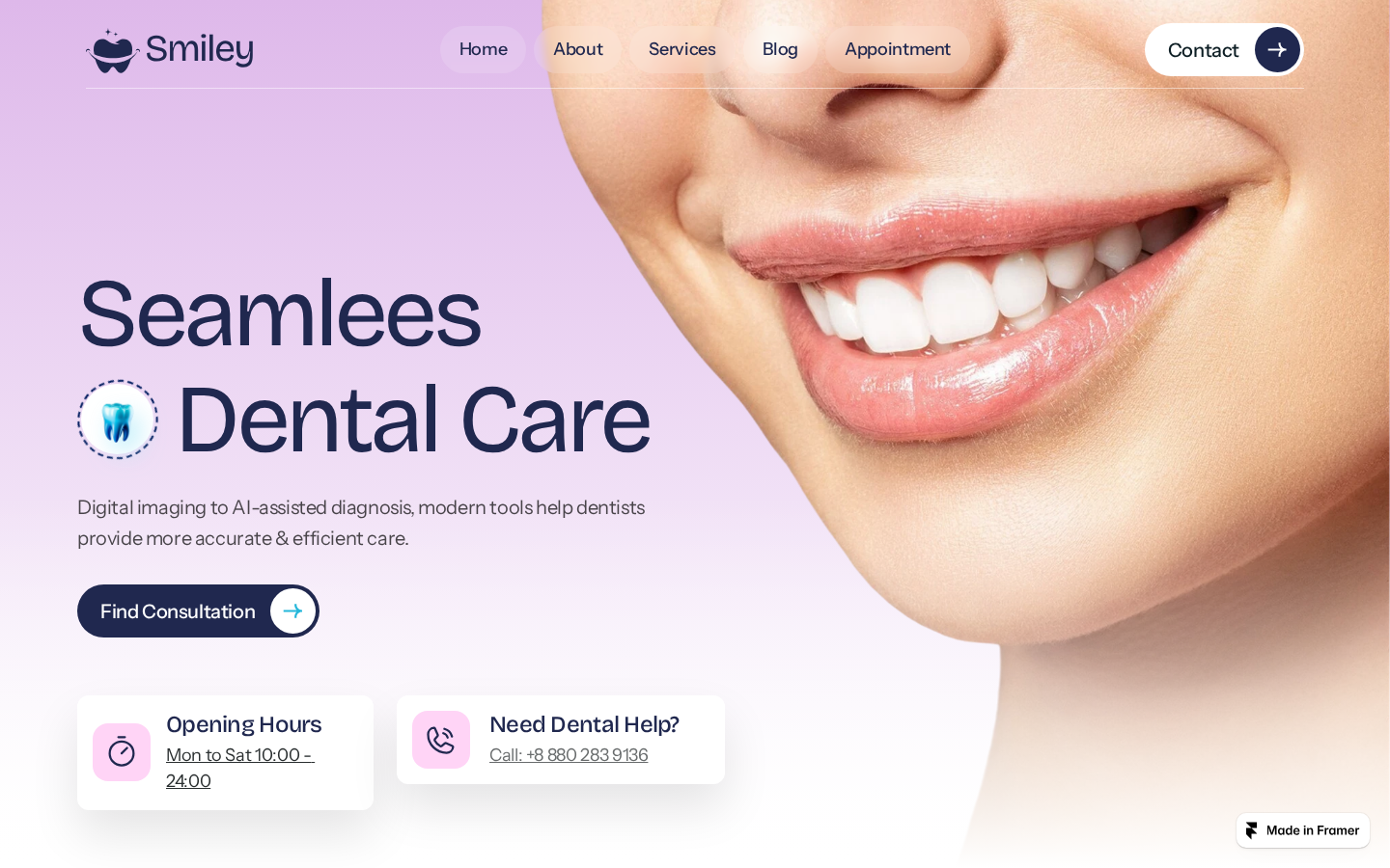 Smilex template preview