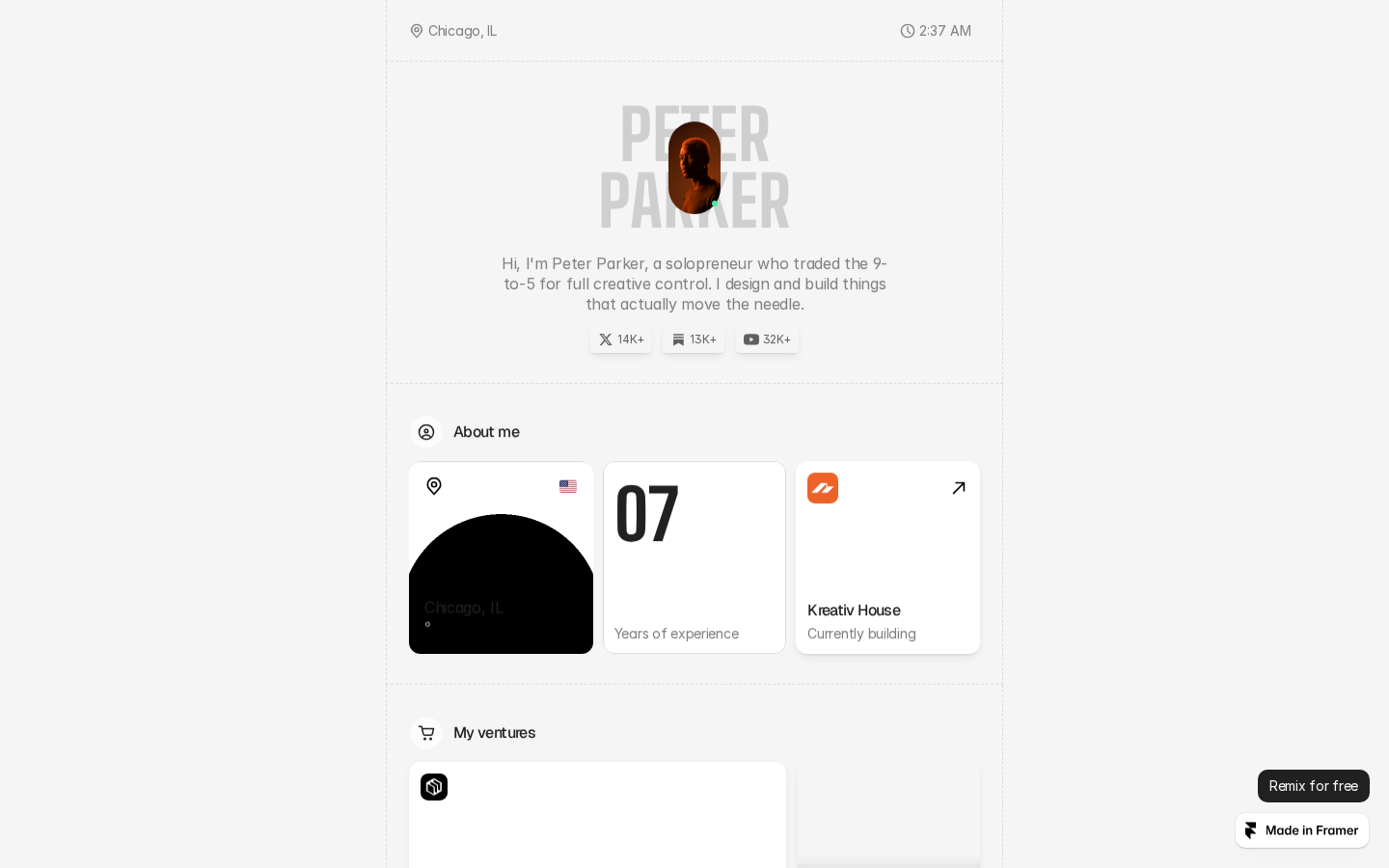 SoloHub template preview