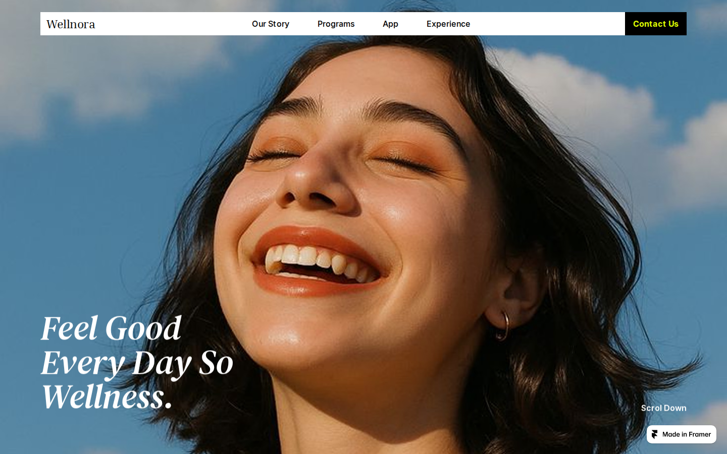 Wellnora template preview