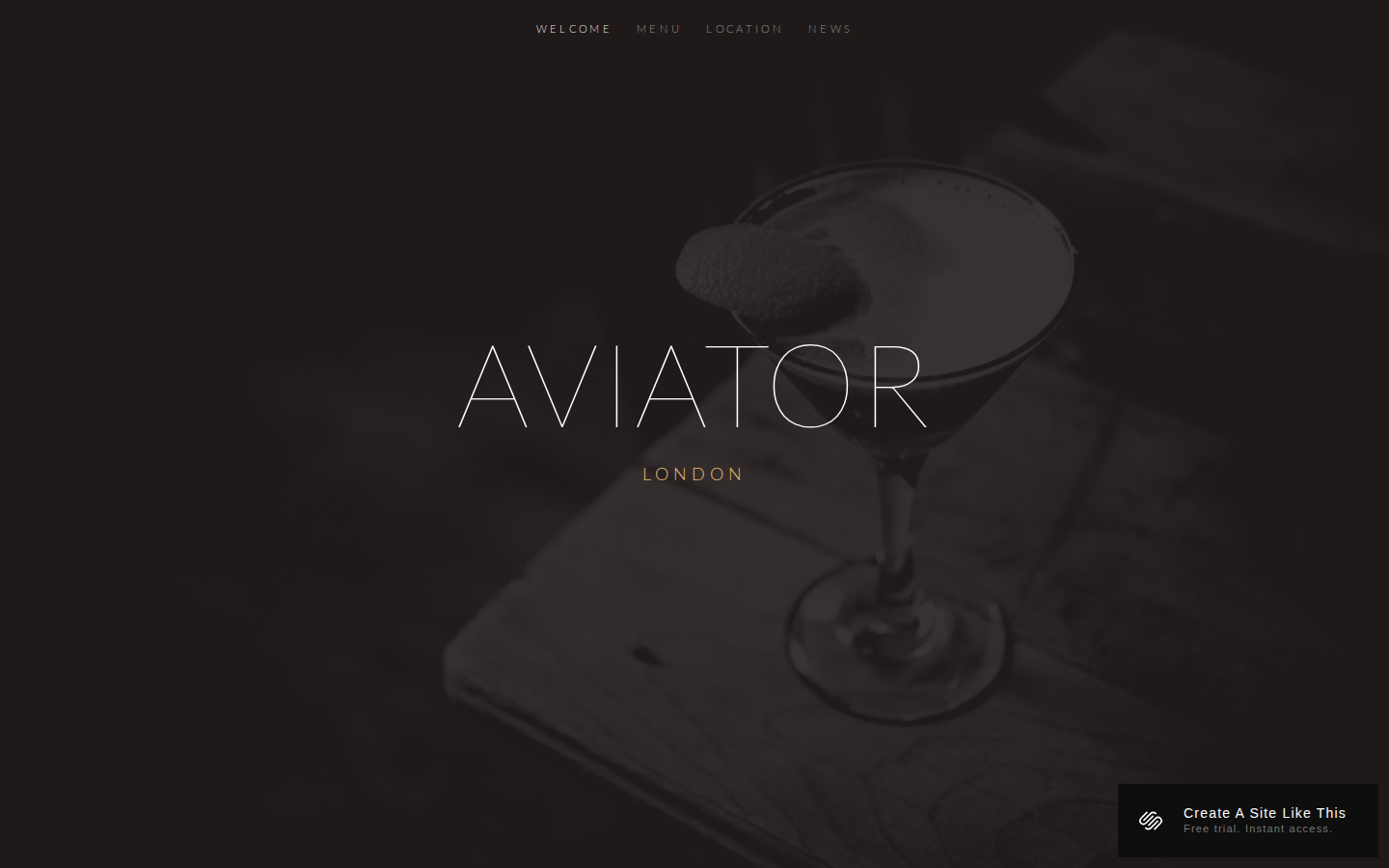 Aviator template preview