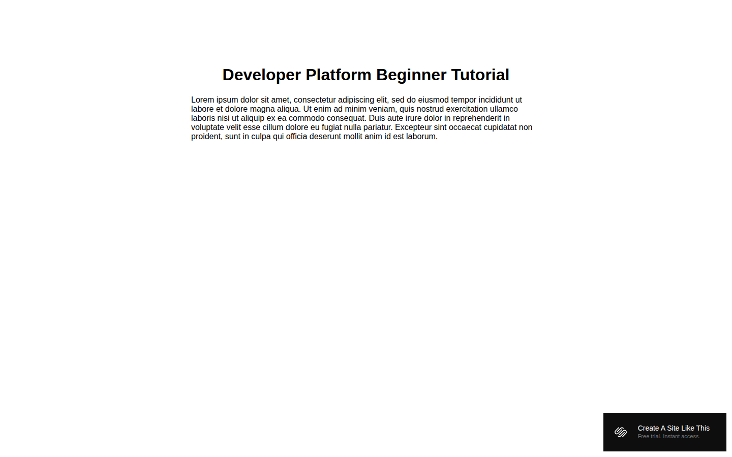 Developer Platform Beginner Tutorial template preview